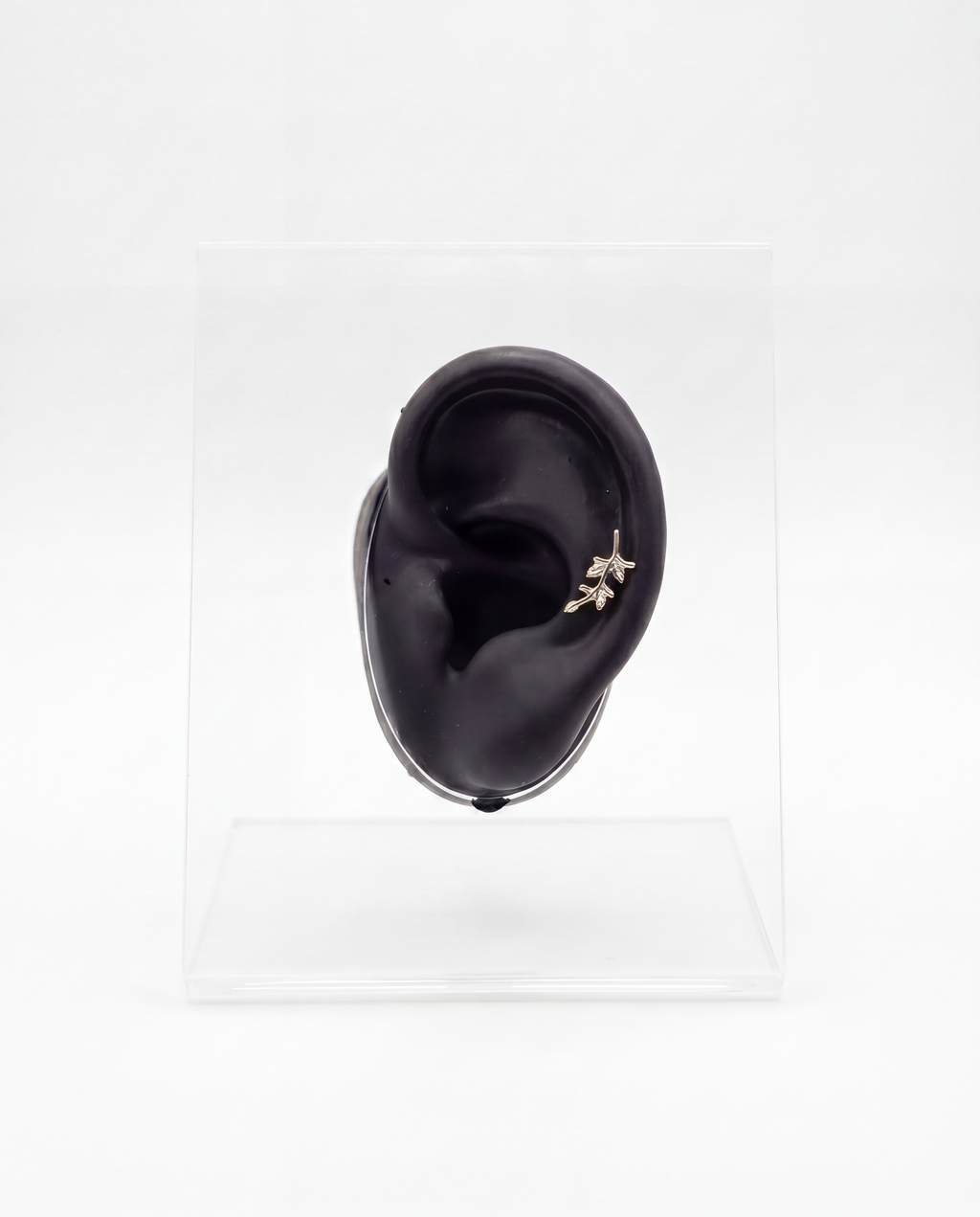 Olive branch - Silver
