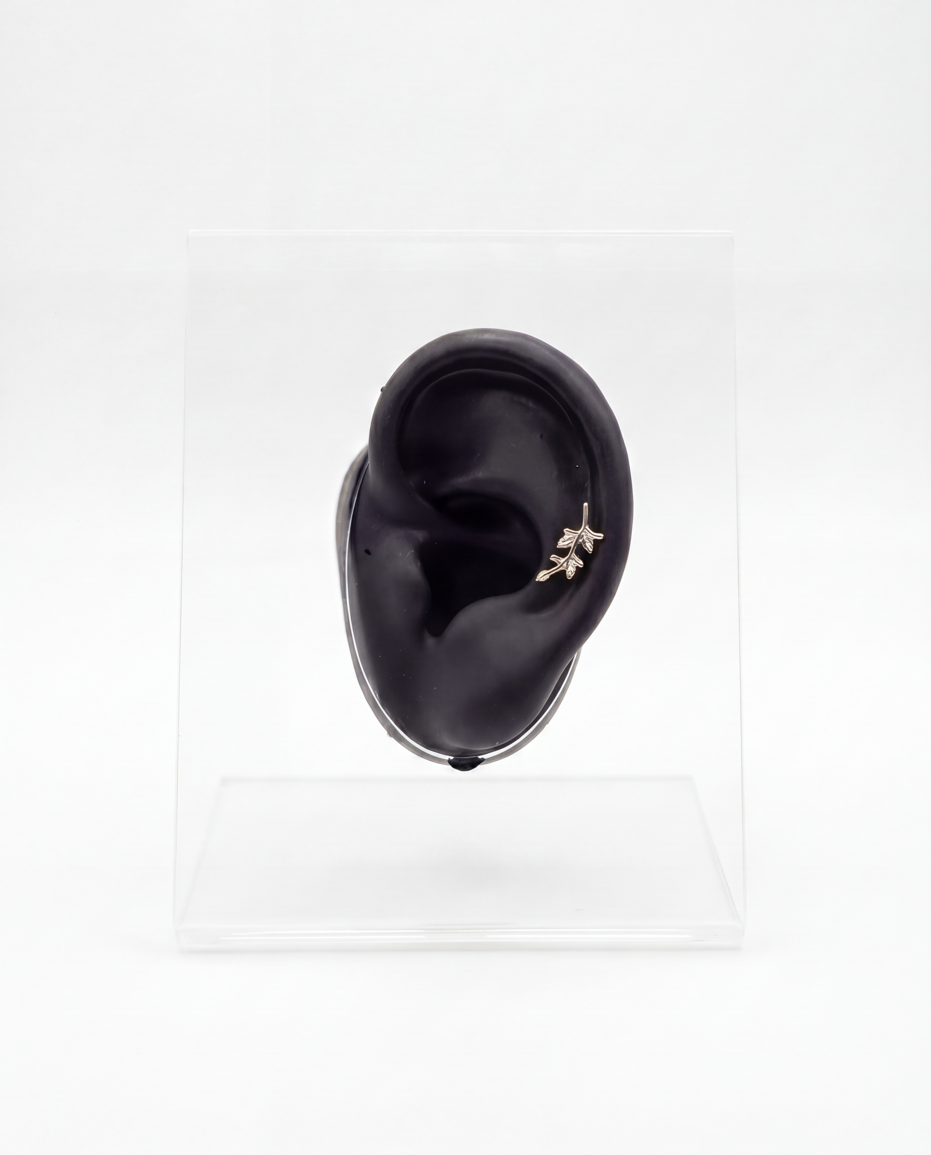 Olive branch - Silver